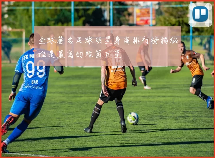 全球著名足球明星身高排行榜揭秘谁是最高的绿茵巨星