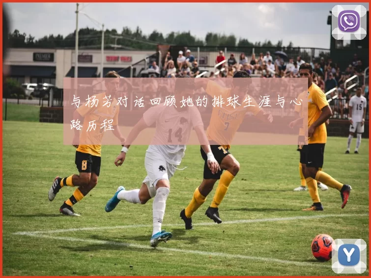与杨芳对话回顾她的排球生涯与心路历程