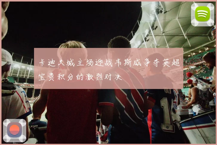 卡迪夫城主场迎战韦斯咸争夺英超宝贵积分的激烈对决
