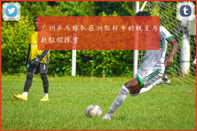 广州乒乓球队在洲际杯中的蜕变与新征程探索
