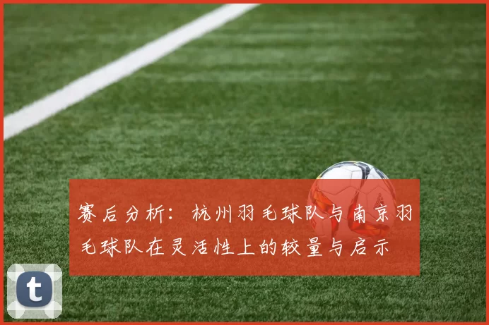 赛后分析：杭州羽毛球队与南京羽毛球队在灵活性上的较量与启示