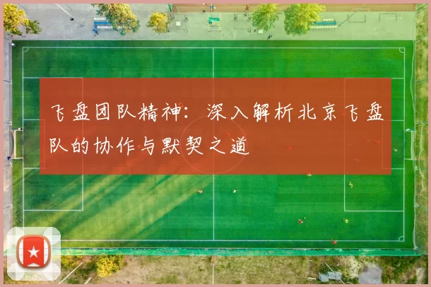 飞盘团队精神：深入解析北京飞盘队的协作与默契之道