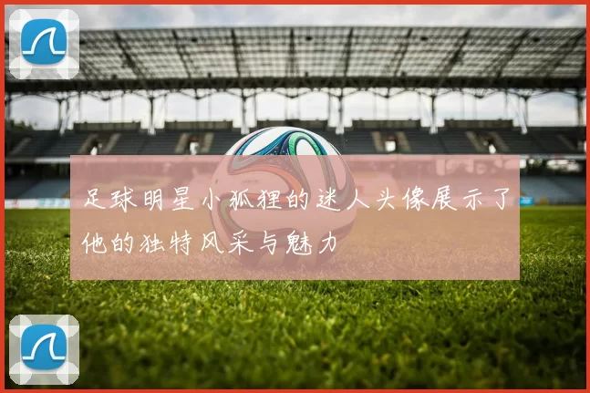 足球明星小狐狸的迷人头像展示了他的独特风采与魅力