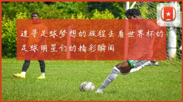 追寻足球梦想的旅程去看世界杯的足球明星们的精彩瞬间
