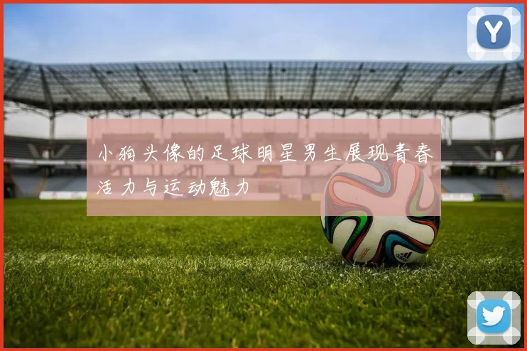 小狗头像的足球明星男生展现青春活力与运动魅力