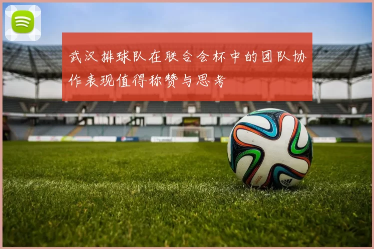 武汉排球队在联合会杯中的团队协作表现值得称赞与思考