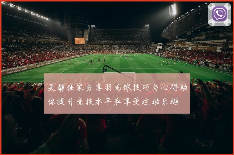 吴静独家分享羽毛球技巧与心得助你提升竞技水平和享受运动乐趣