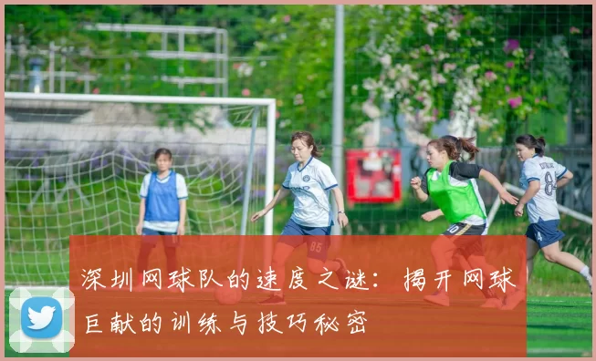 深圳网球队的速度之谜：揭开网球巨献的训练与技巧秘密
