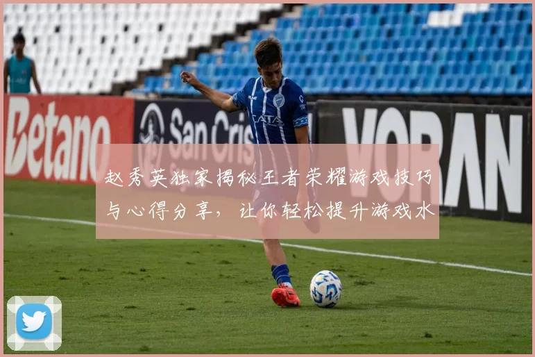 赵秀英独家揭秘王者荣耀游戏技巧与心得分享，让你轻松提升游戏水平
