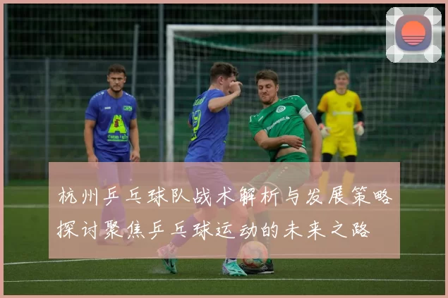 杭州乒乓球队战术解析与发展策略探讨聚焦乒乓球运动的未来之路