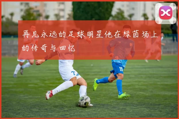 再见永远的足球明星他在绿茵场上的传奇与回忆