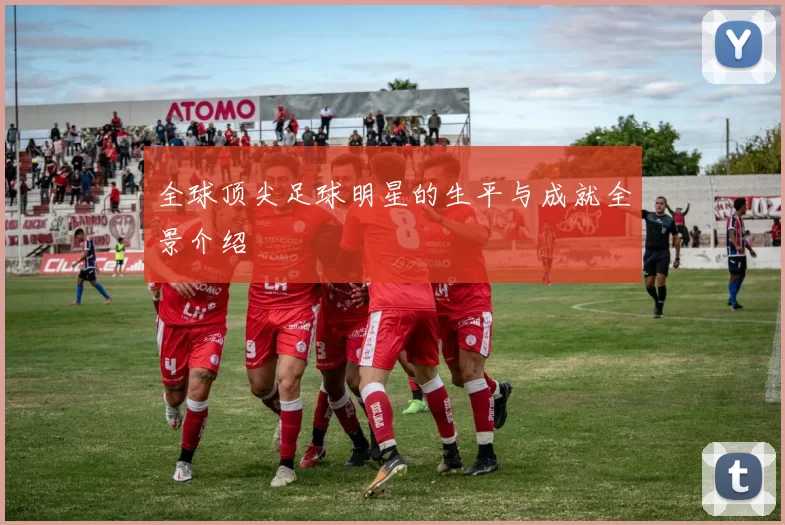 全球顶尖足球明星的生平与成就全景介绍