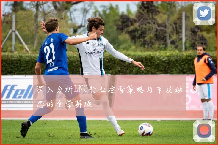 深入分析LNG行业运营策略与市场动态的全景解读