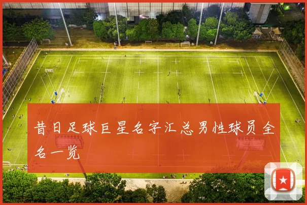 昔日足球巨星名字汇总男性球员全名一览