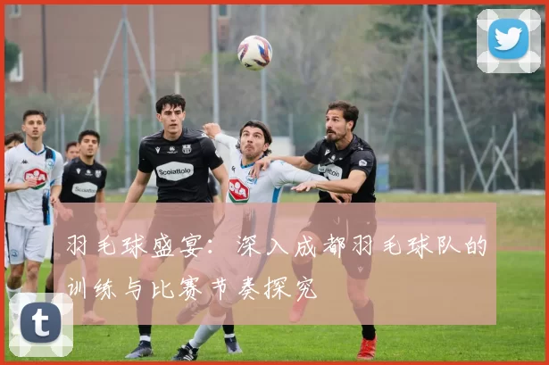 羽毛球盛宴：深入成都羽毛球队的训练与比赛节奏探究