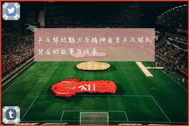 乒乓球的魅力与精神南京乒乓球队背后的故事与传承