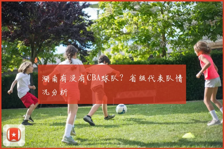 湖南有没有CBA球队？省级代表队情况分析