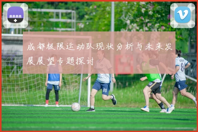 成都极限运动队现状分析与未来发展展望专题探讨