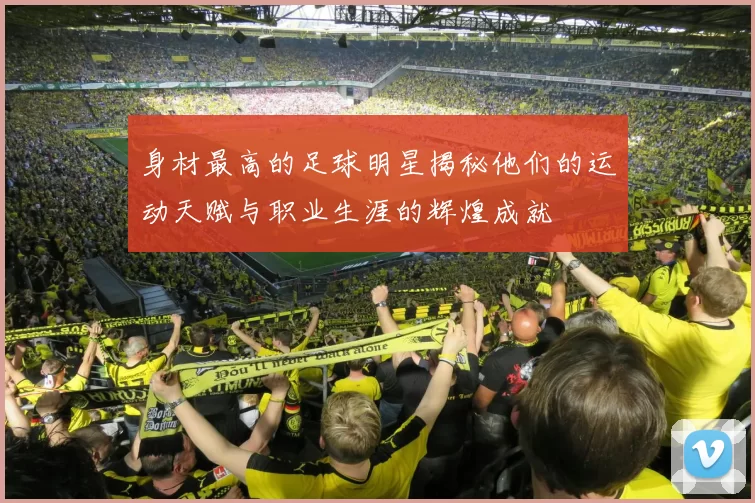 身材最高的足球明星揭秘他们的运动天赋与职业生涯的辉煌成就