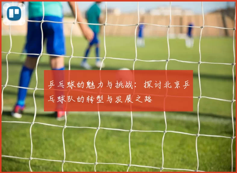 乒乓球的魅力与挑战：探讨北京乒乓球队的转型与发展之路
