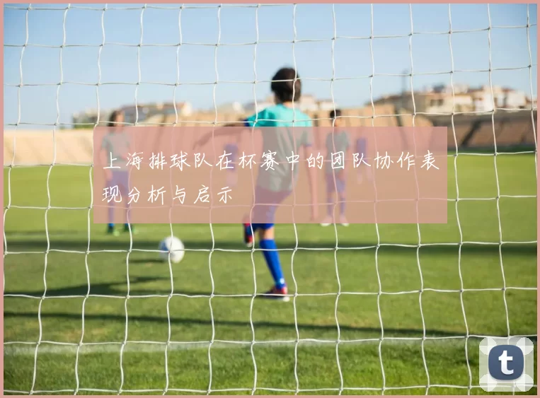 上海排球队在杯赛中的团队协作表现分析与启示